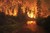 Image: Terrifying wildfire season in Alaska and what it says about climate change